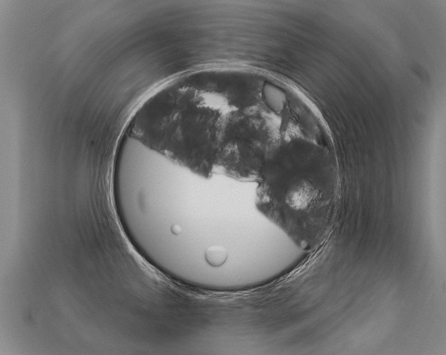 X0000113551245200909180953