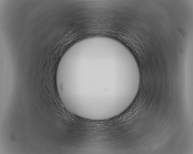 X0000113551249200909180952