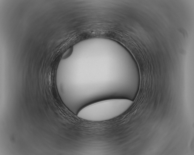X0000113551250200909180952