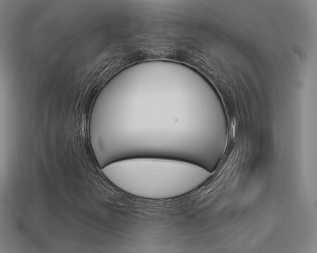 X0000113551251200909180952