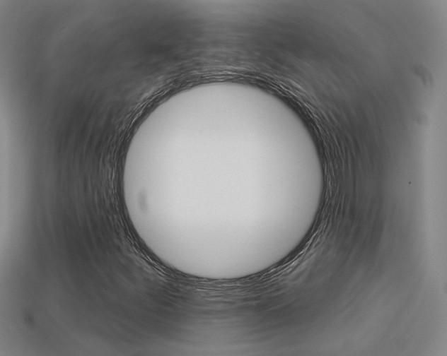 X0000113551252200909180952