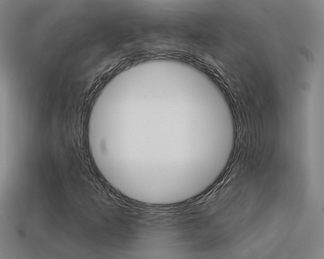 X0000113551253200909180952