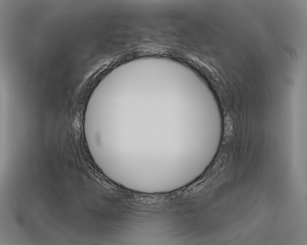X0000113551254200909180952