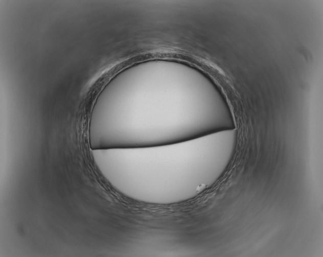 X0000113551255200909180952