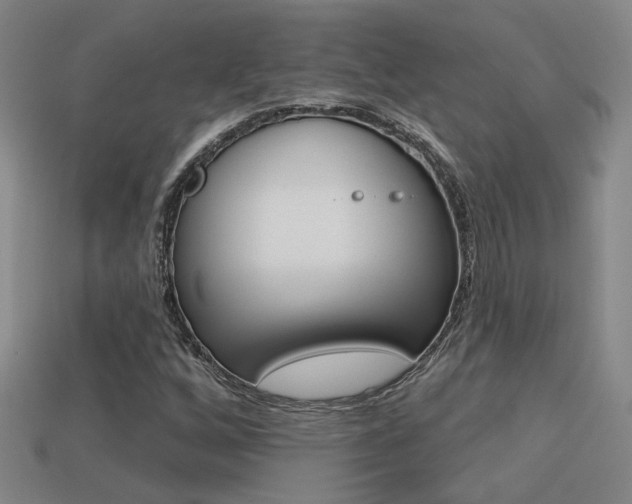X0000113551256200909180952