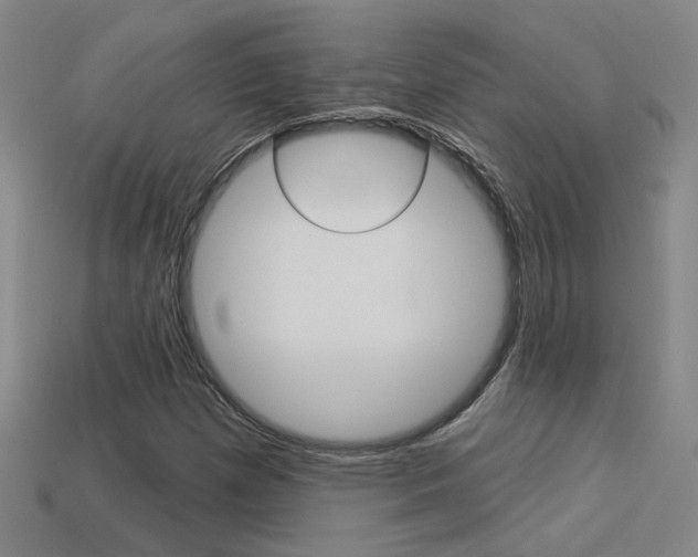 X0000113551257200909180952