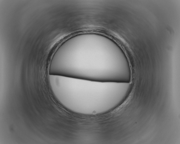 X0000113551259200909180952