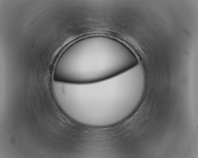 X0000113551260200909180952