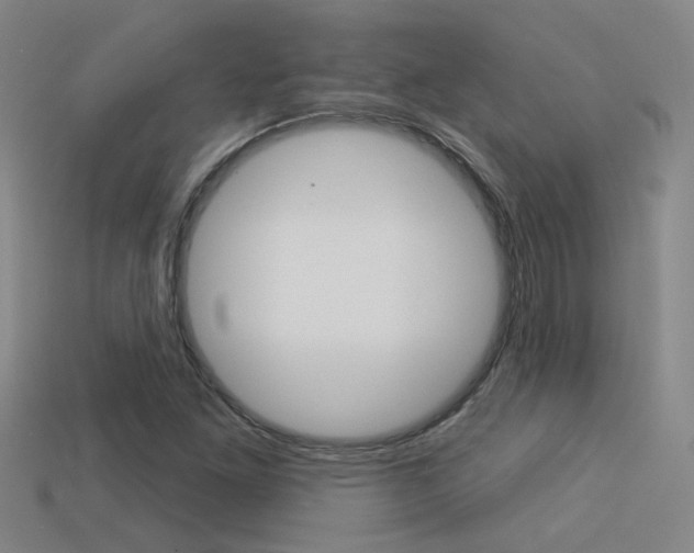 X0000113551261200909180952