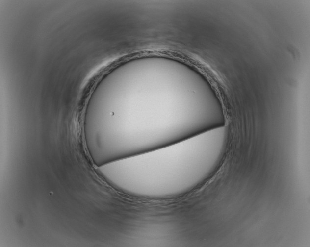 X0000113551262200909180952