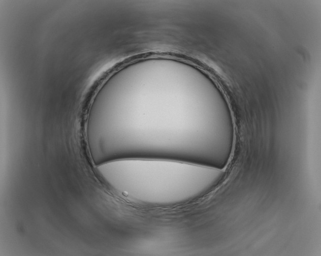 X0000113551263200909180952