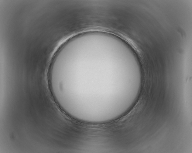 X0000113551264200909180952