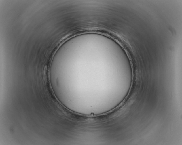 X0000113551265200909180952