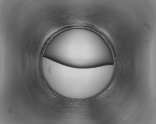 X0000113551267200909180952