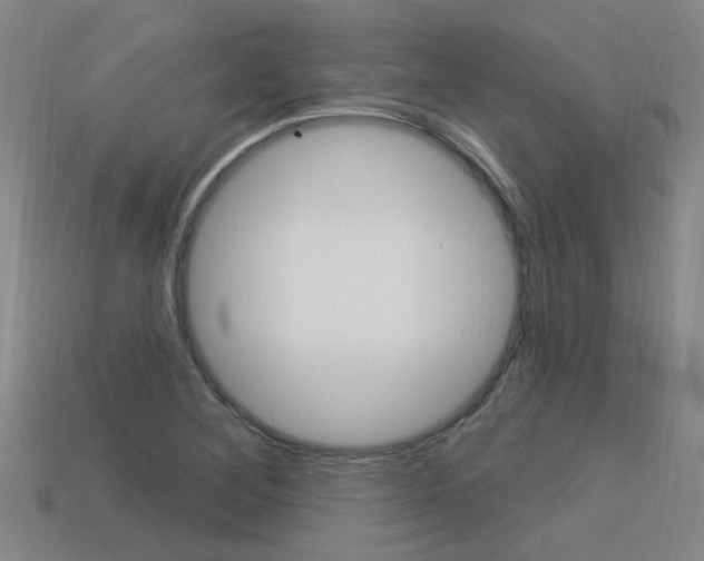 X0000113551268200909180952