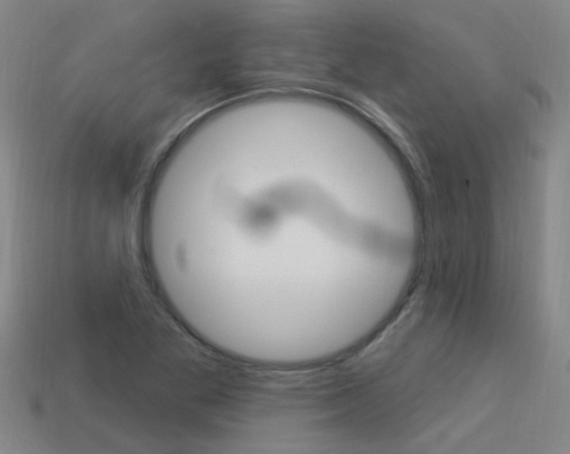 X0000113551269200909180952