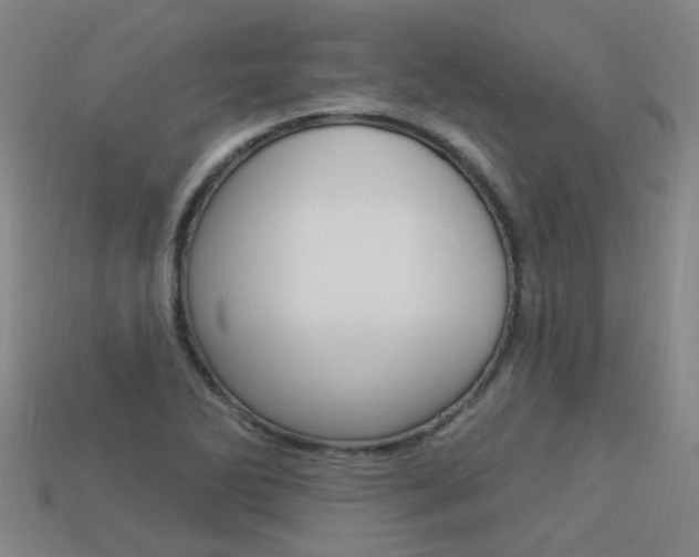 X0000113551270200909180952