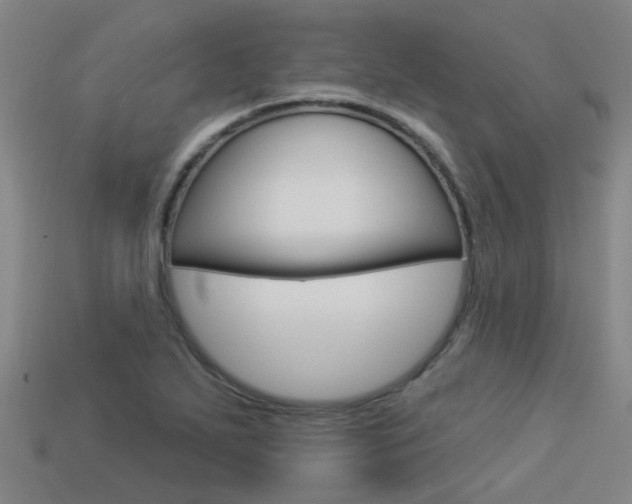 X0000113551271200909180952