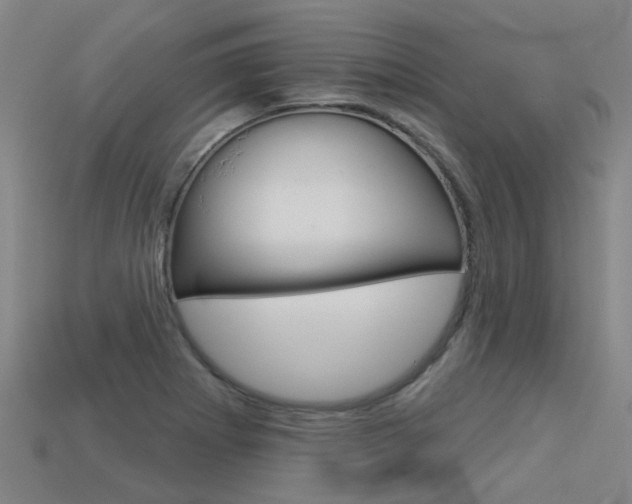 X0000113551273200909180952