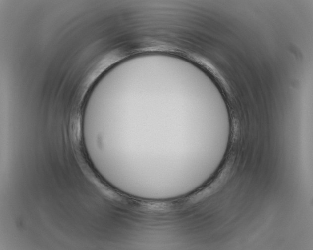 X0000113551274200909180952
