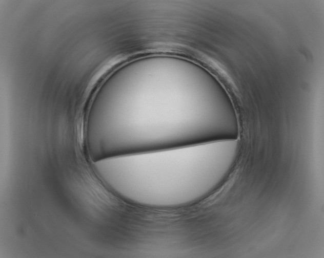 X0000113551275200909180952