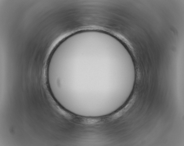 X0000113551278200909180951