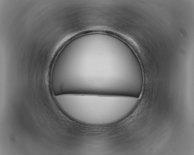 X0000113551279200909180951