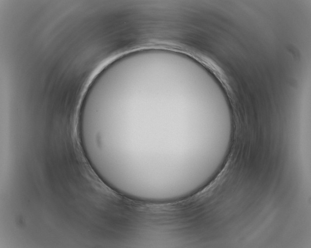 X0000113551280200909180951