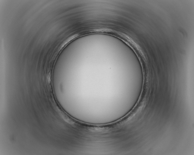X0000113551281200909180951