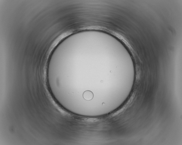 X0000113551282200909180951