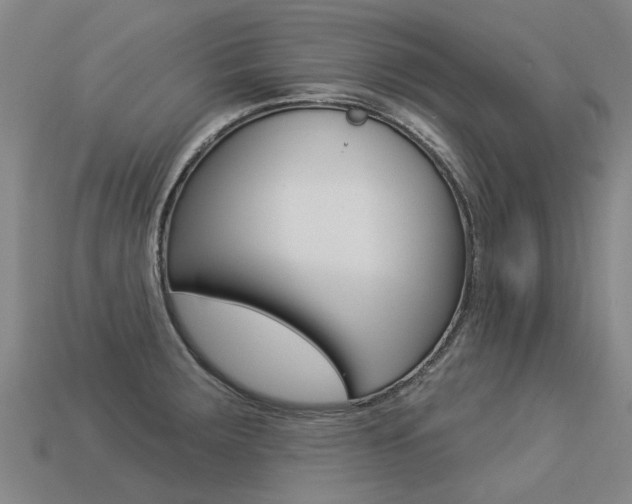 X0000113551283200909180951