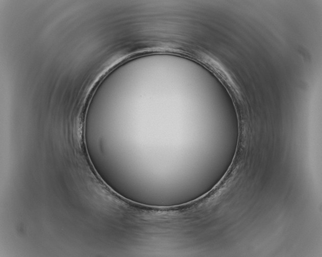 X0000113551284200909180951