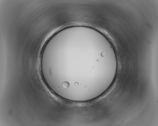 X0000113551286200909180951