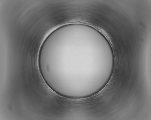 X0000113551288200909180951