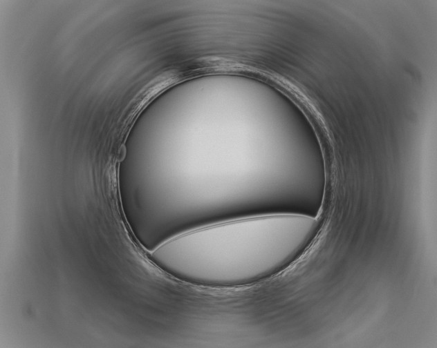 X0000113551289200909180951