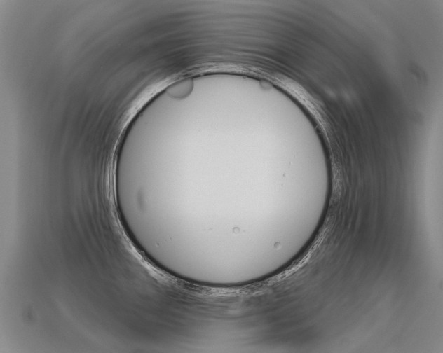X0000113551290200909180951