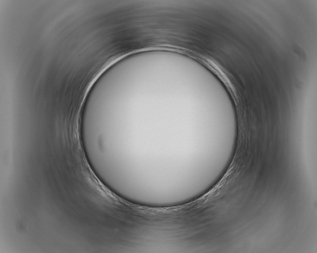 X0000113551292200909180951