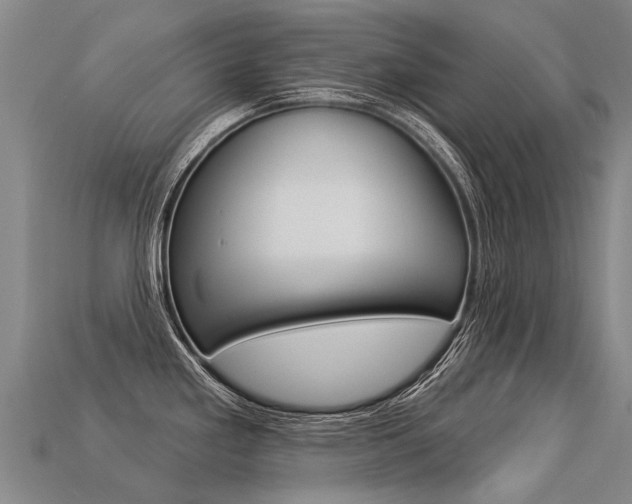 X0000113551293200909180951