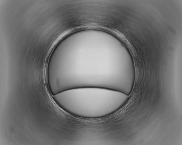 X0000113551295200909180951