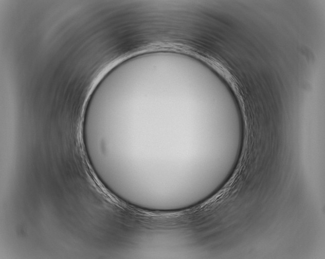 X0000113551296200909180951