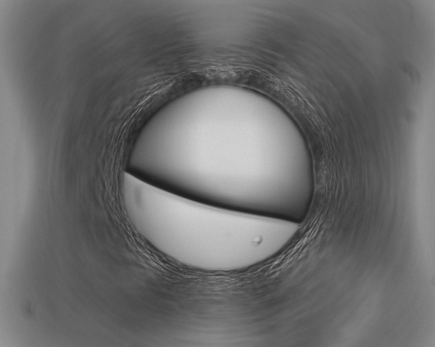 X0000113551297200909180951