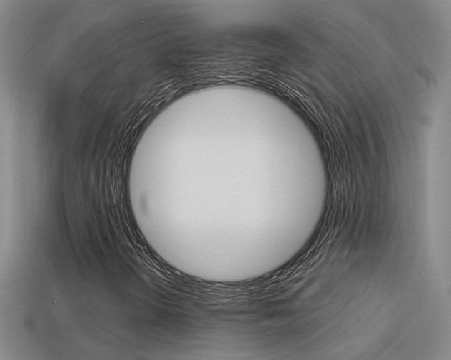 X0000113551298200909180951