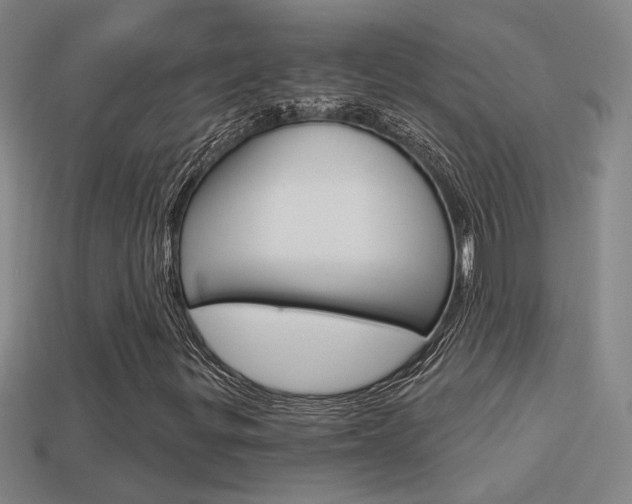 X0000113551299200909180951