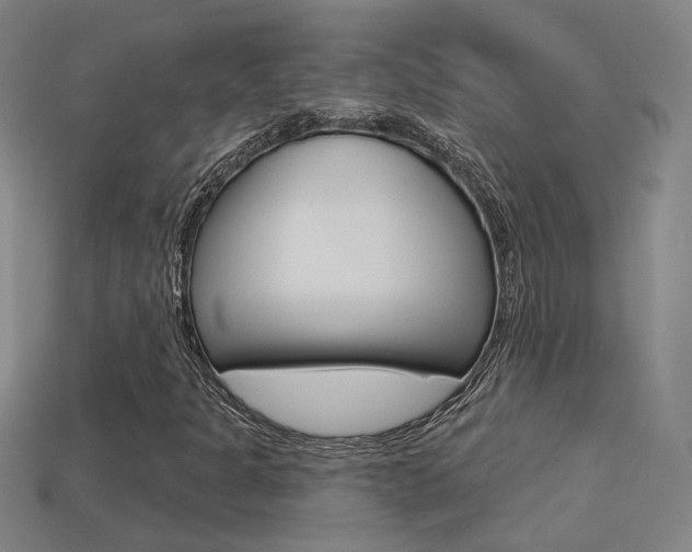 X0000113551301200909180951