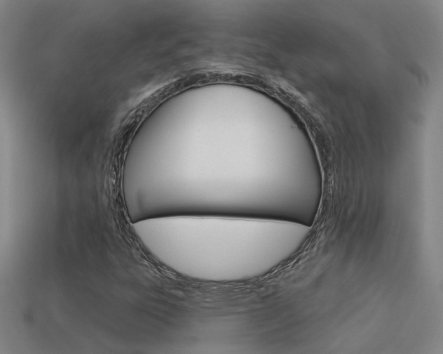 X0000113551303200909180951