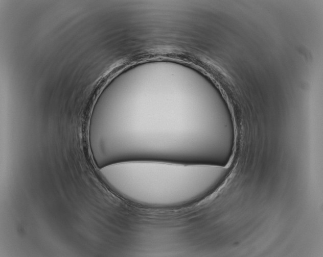 X0000113551305200909180951