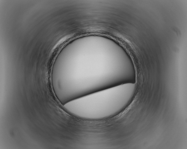 X0000113551306200909180951