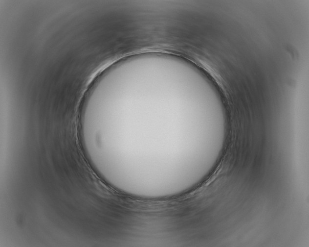 X0000113551308200909180951