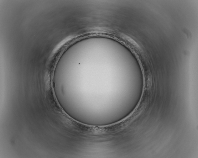X0000113551310200909180951