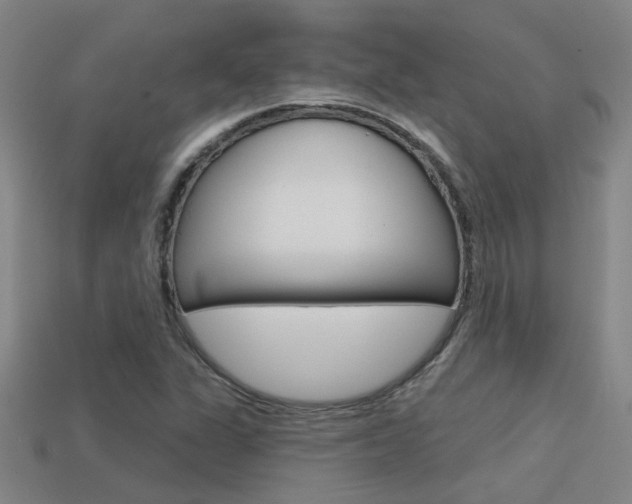 X0000113551311200909180951